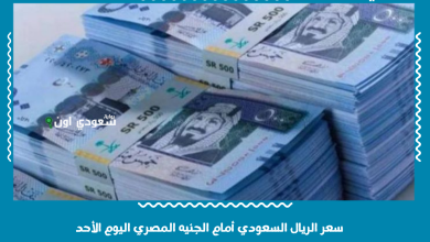 سعر الريال السعودي أمام الجنيه المصري اليوم الأحد